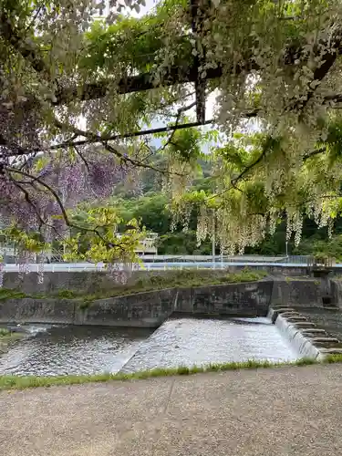 和氣神社（和気神社）の庭園