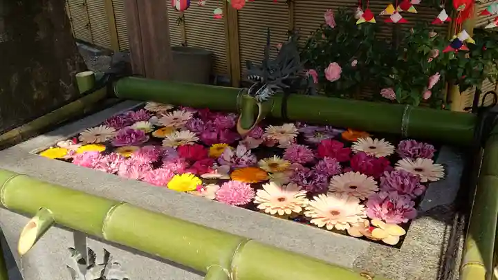 蛇窪神社(東京都)