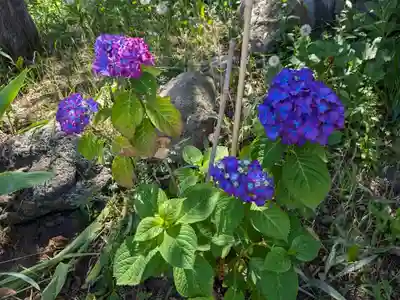 発寒神社(北海道)