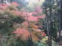 石山寺の自然
