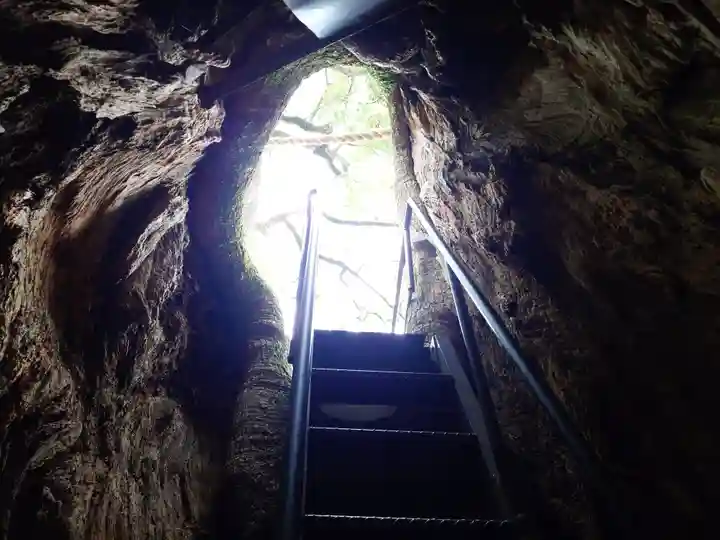 熊野那智大社(和歌山県)
