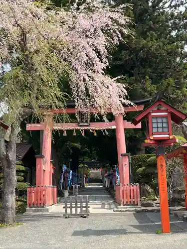 遠野郷八幡宮(岩手県)
