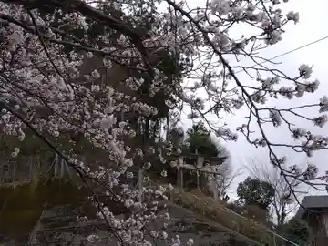 天日神社(福井県)