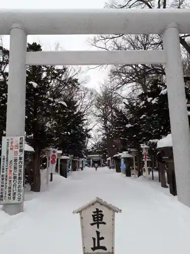 新琴似神社の鳥居