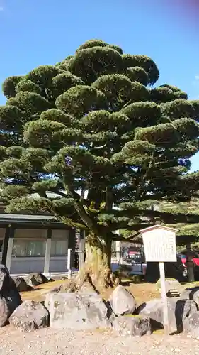 石川護國神社の庭園