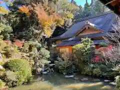 龍潭寺の庭園