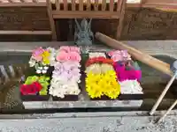 徳島眉山天神社(徳島県)