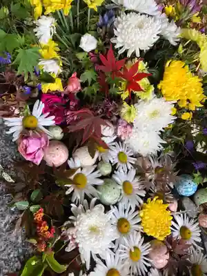 滑川神社 - 仕事と子どもの守り神の手水舎