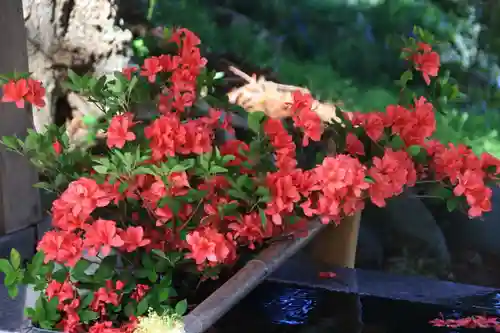 高司神社〜むすびの神の鎮まる社〜の手水