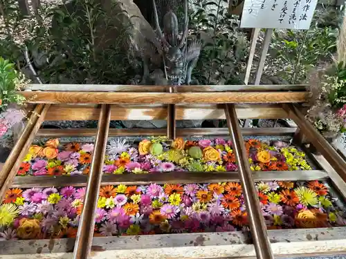 東京大神宮の手水