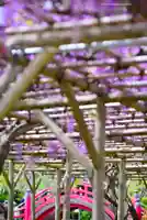 亀戸天神社(東京都)