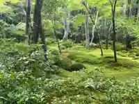 祇王寺(京都府)