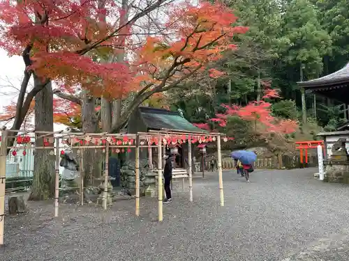 温泉神社〜いわき湯本温泉〜の庭園