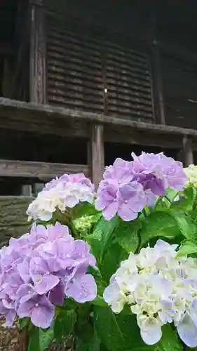 日光鹿島神社の庭園