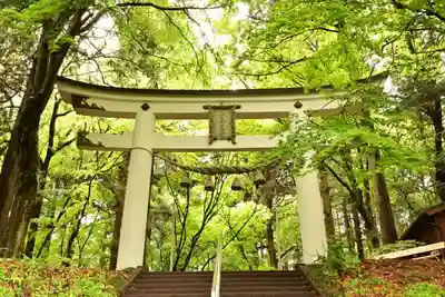 宝登山神社奥宮(埼玉県)