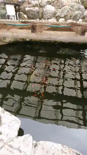 長橋寺(京都府)