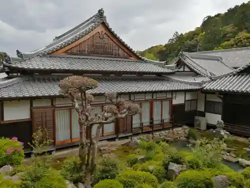 金剛寺の庭園