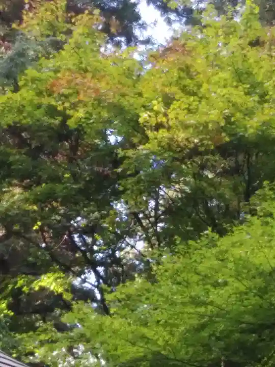 鹿島大神宮(福島県)