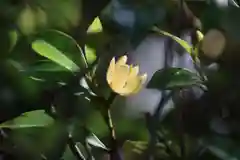 阿邪訶根神社の自然