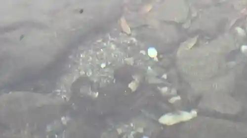 伊勢神宮内宮（皇大神宮）(三重県)