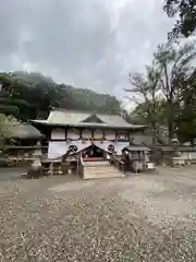 闘鶏神社の本殿