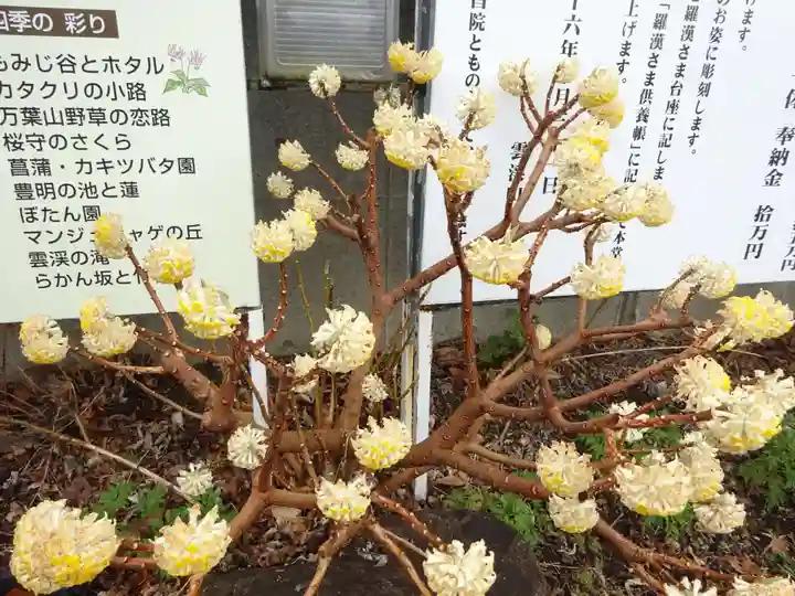 常昌院(神奈川県)