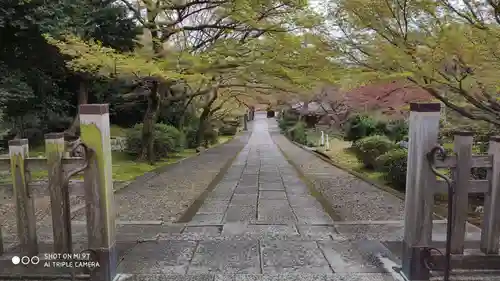 養源院のその他建物