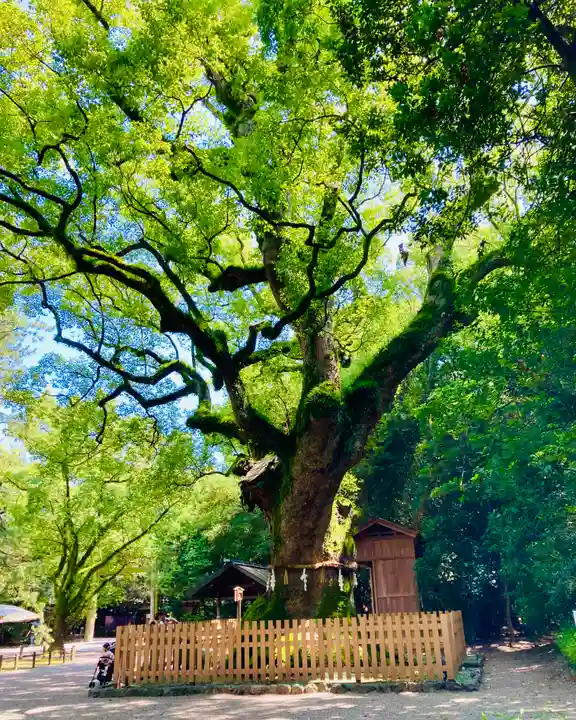 熱田神宮の自然