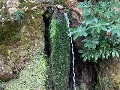 慈照寺（慈照禅寺・銀閣寺）のその他建物