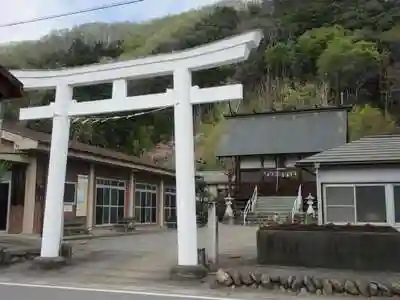 金崎神社の鳥居