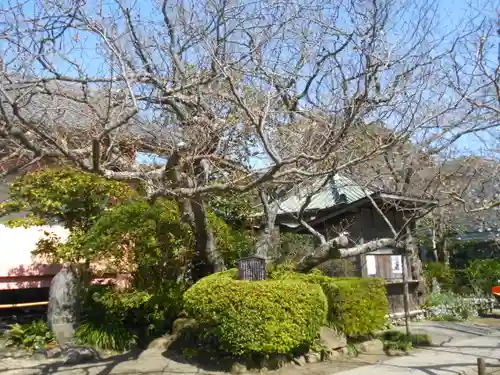 極楽寺（霊鷲山感應院極楽律寺）の景色