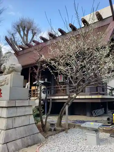 高円寺氷川神社のその他建物