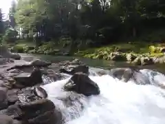 大瀧神社の自然