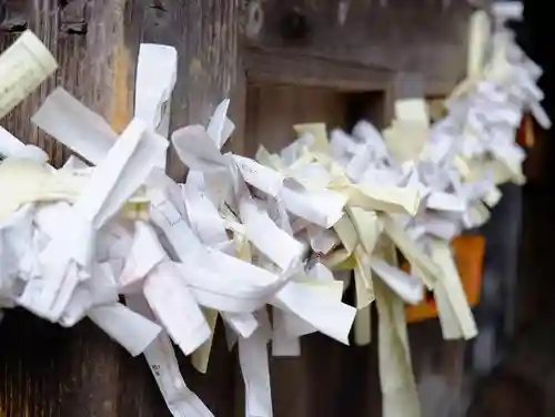 大神山神社奥宮のおみくじ