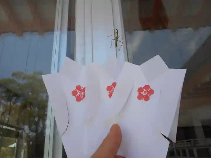 屋久島大社(鹿児島県)