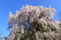 熊野神社の自然