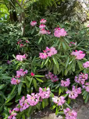 成相寺(京都府)
