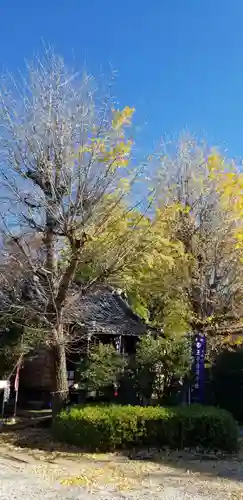 王子白髭神社の自然