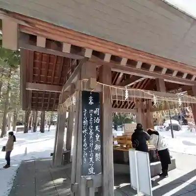 北海道神宮の手水舎