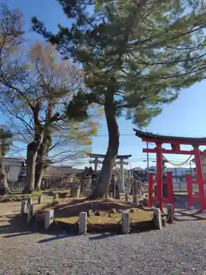 八幡神社(埼玉県)