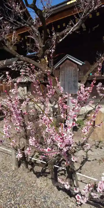 北野天満宮(京都府)