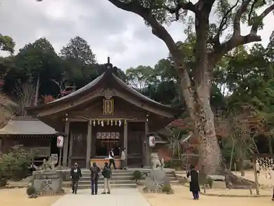 宝満宮竈門神社の本殿・本堂