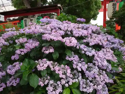 尼崎えびす神社の自然