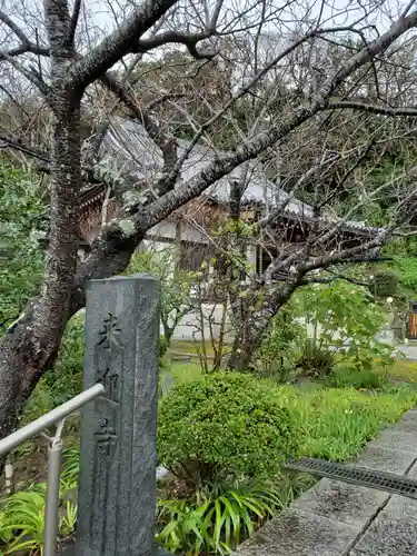 来迎寺（材木座）の自然