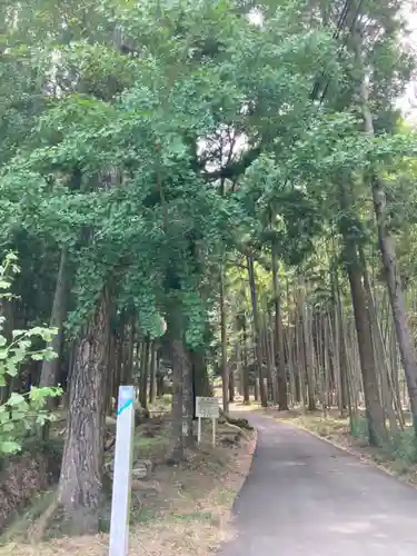 若王子神社の自然