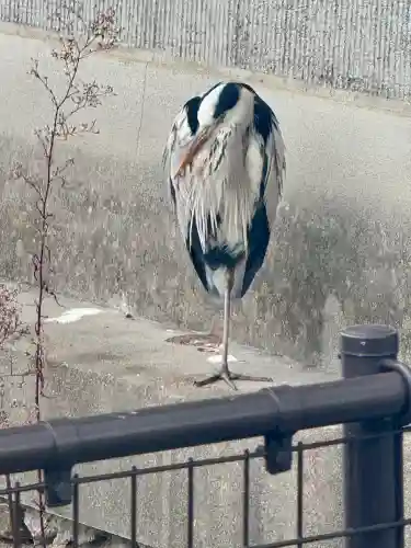 東寺（教王護国寺）の{uncategorized: "未分類", other: "その他", undefined: "問題あり", building: "その他建物", grave: "お墓", sacred_gate: "鳥居", guardian: "狛犬", statue: "像", buddha: "仏像", history: "歴史", nature: "自然", garden: "庭園", animal: "動物", pagoda: "塔", temizu: "手水舎", mountain_gate: "山門・神門", sanctuary: "本殿・本堂", subordinate: "末社・摂社", art: "芸術", scenery: "景色", jizo: "地蔵", ema: "絵馬", goshuin: "御朱印", omikuji: "おみくじ", items: "授与品その他", amulet: "お守り", goshuincho: "御朱印帳", eats: "食事", festival: "お祭り", votive_dance: "神楽", shichigosan: "七五三参", wedding: "結婚式", experience: "体験その他", initially: "初詣", around: "周辺", anti_infection: "感染症対策"}
