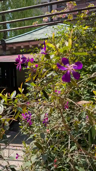 和光寺(大阪府)