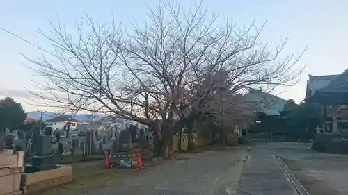 本妙寺のその他建物