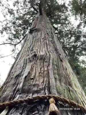 日枝神社(岐阜県)
