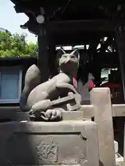 被官稲荷神社の狛犬